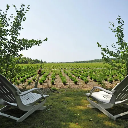 Modern Farmhouse In Emst With A Beautiful Terrace And Garden Holiday home